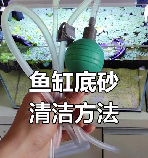 鱼缸清洁指南：打造水族宠物的理想生活环境(图3)