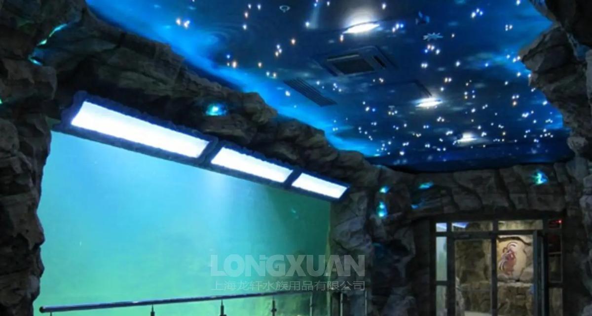 鱼缸清洁指南：打造水族宠物的理想生活环境