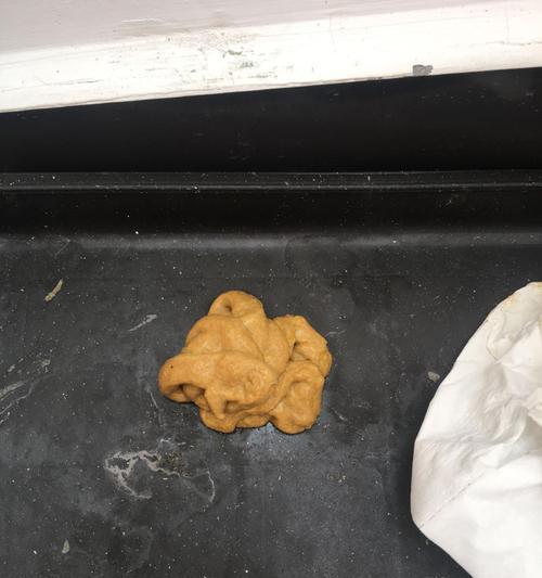 选择优质狗粮让狗狗便便更清香