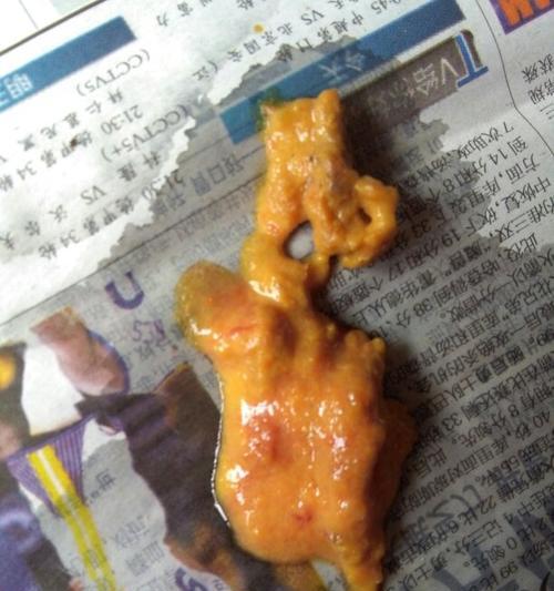 选择优质狗粮让狗狗便便更清香(图2)