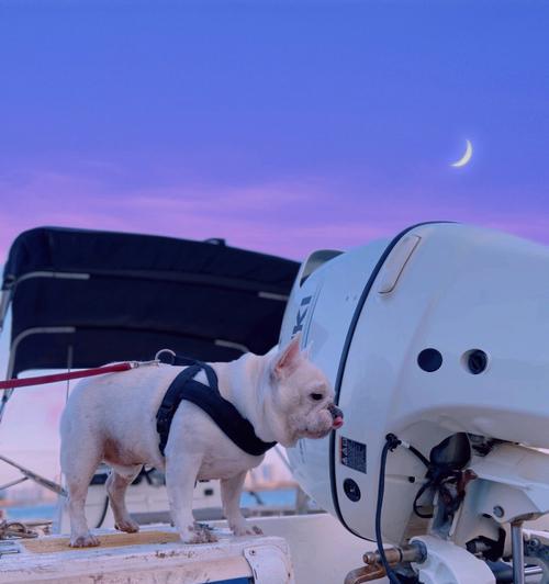 蓝色法牛与自然色系搭配指南(图2)