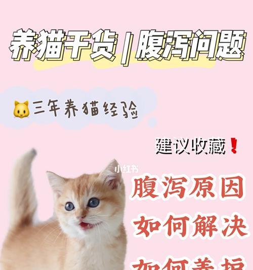 猫腹泻护理指南：科学饮食促进恢复(图2)