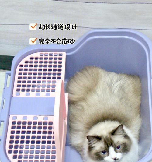 为猫咪挑选纸砂猫砂盆的实用指南(图2)