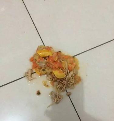 狗狗反胃干呕怎么缓解？饮食调理与草药治疗方法(图2)