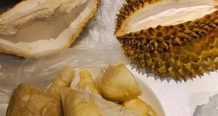 狗狗反胃干呕怎么缓解？饮食调理与草药治疗方法(图3)