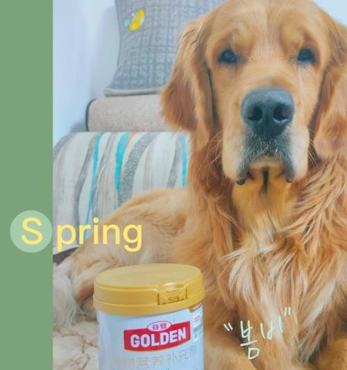 一月大狗狗营养奶粉选择指南(图3)