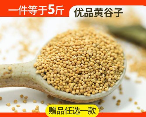 黄雀与苏子的智慧共生故事(图3)