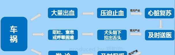 狗狗为什么会感觉冷？原因与科学应对方法(图2)