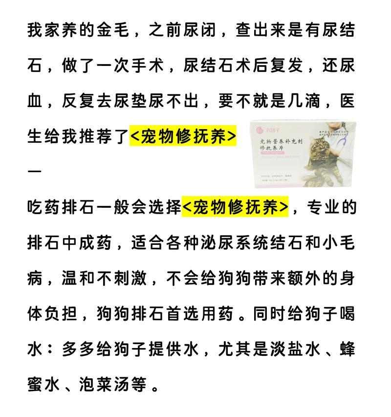 小狗尿血的原因与应对方法详解