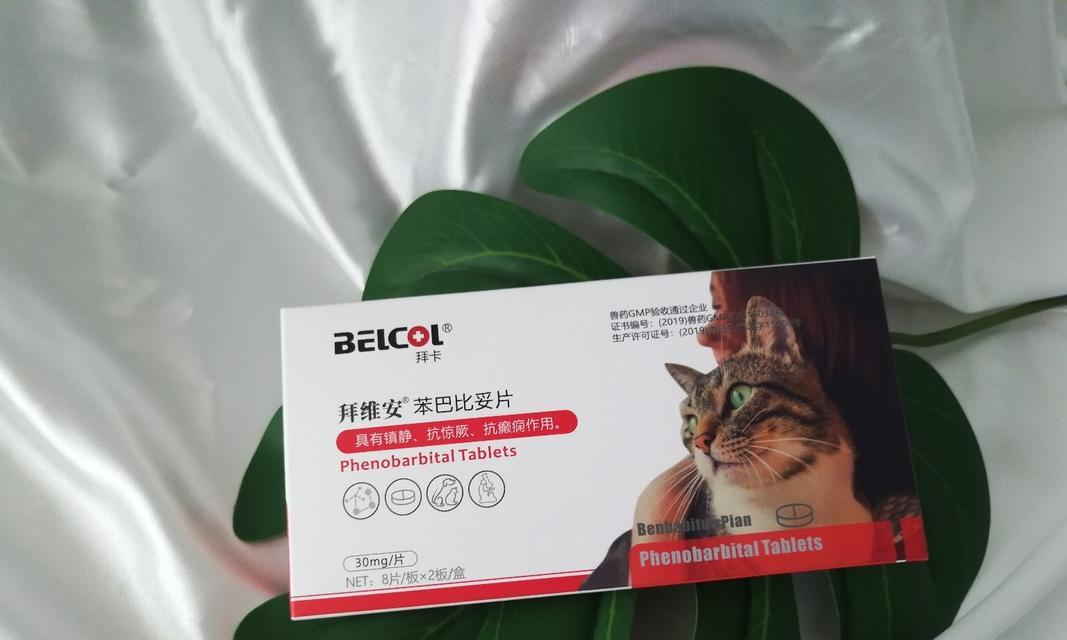 缓解猫嗓子不适的常用药物及正确使用方法(图1)