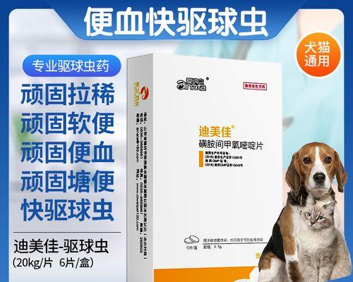 猫内驱虫的必要性与科学方法指南