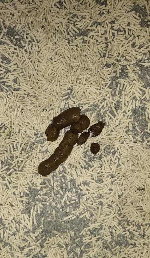 物体从坚硬到柔软变形的科学机制解析(图2)