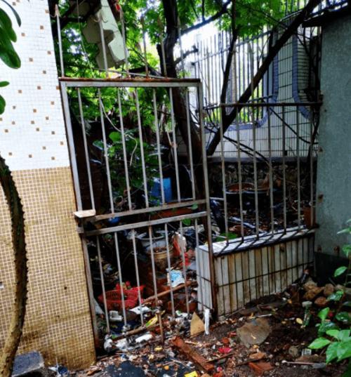 珠海狗市场：地理位置、品种与特色服务全解析