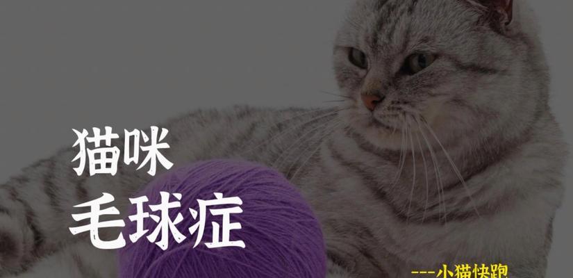 猫毛球成因与科学处理方法(图2)