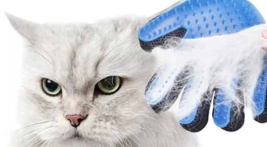 猫毛球成因与科学处理方法