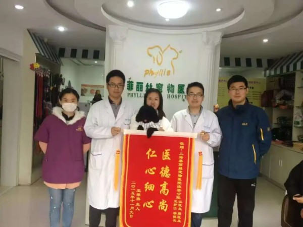 宠物医生转型人大代表：守护生命与行业规范(图5)