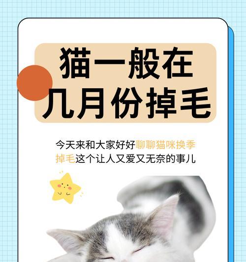 小孩养猫的益处：培养责任心与促进身心健康(图1)