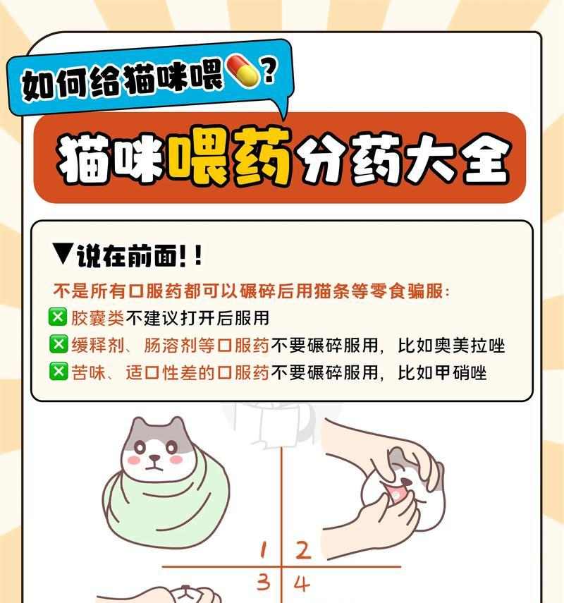 小孩养猫的益处：培养责任心与促进身心健康(图2)
