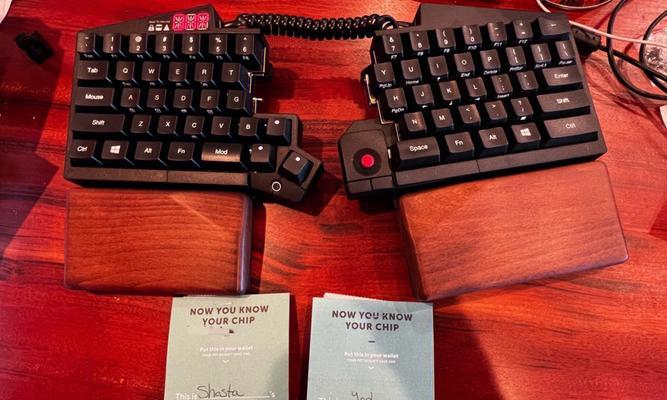 幼犬打芯片必备证明与流程详解(图3)