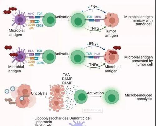 以麻佛微素治疗关节疼痛效果显著(图3)