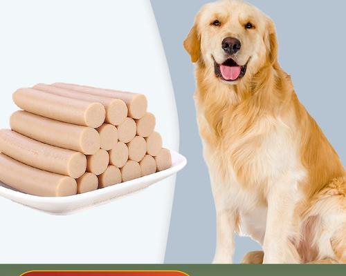 2个月金毛犬科学饮食指南(图1)