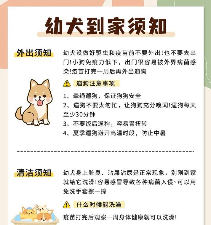 幼犬新家适应指南：15个注意事项(图2)