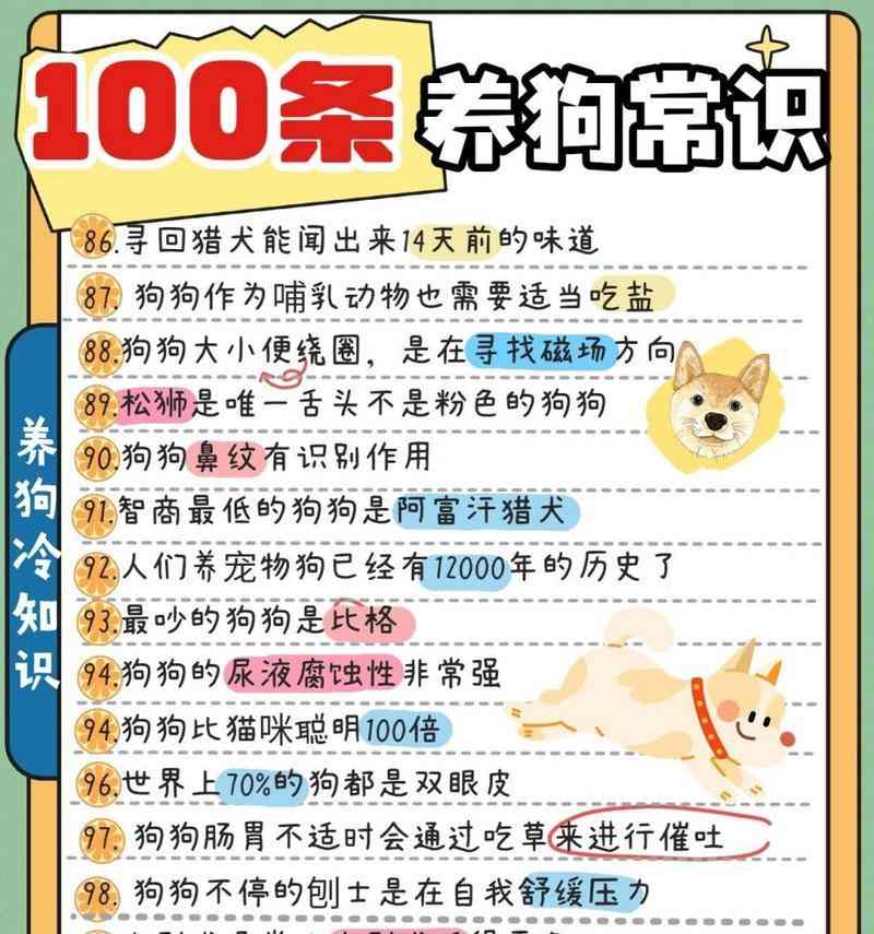 幼犬新家适应指南：15个注意事项(图1)