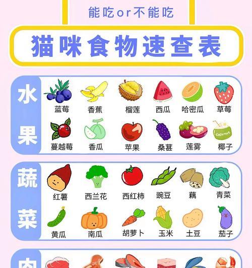 Cat Pregnancy Diet Guide for Healthy Kitten Development(图1)