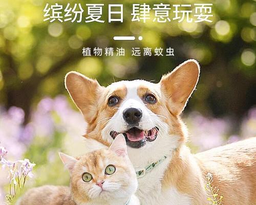 狗狗脖子发红如何治疗及注意事项(图2)