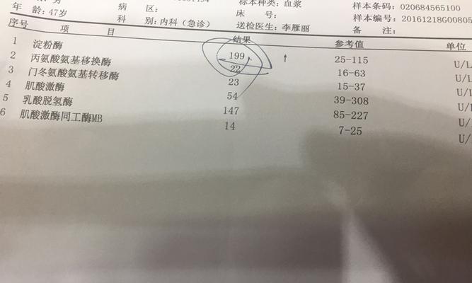 狗狗淀粉酶高饮食指南：健康营养选择(图3)