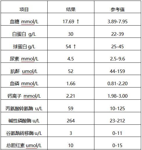 狗狗淀粉酶高饮食指南：健康营养选择