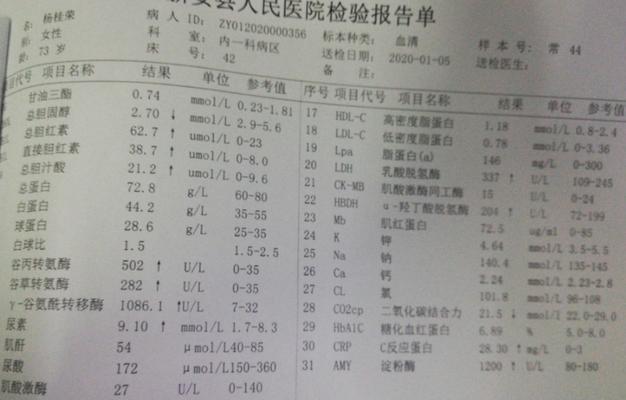 狗狗淀粉酶高饮食指南：健康营养选择(图2)