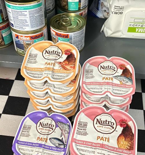 Cats Injury Diet Care: Essential Tips for Recovery(图2)