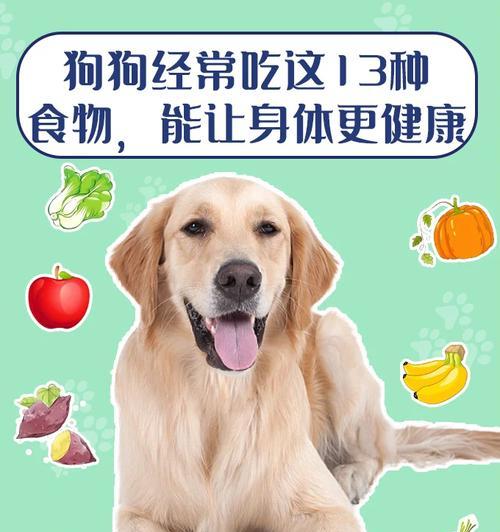 小狗的益处与作用，带来快乐与健康(图3)