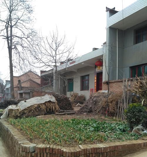 卫生间长草的含义与社会影响解析(图1)