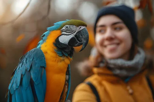 鹦鹉嗉囊功能与护理指南(图2)