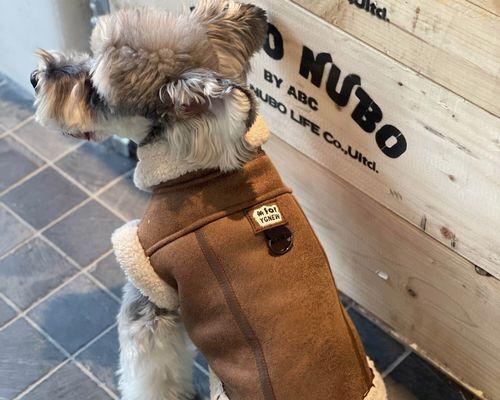 狗狗眼中的颜色：衣着对它们的影响(图2)