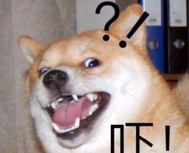 狗的孤独感：如何帮助它们克服深度恐惧(图1)