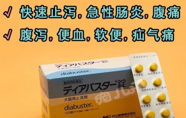 小奶狗拉稀原因及解决方法(图3)