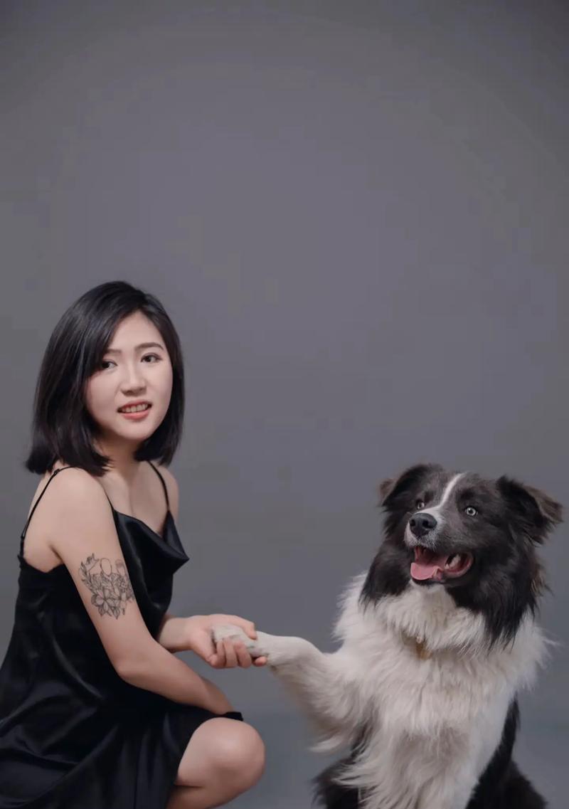 边牧蓝白混血犬种大全：完美配对与独特魅力(图3)