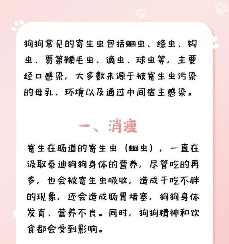 小泰迪肚子里有虫子的原因及防治方法(图3)