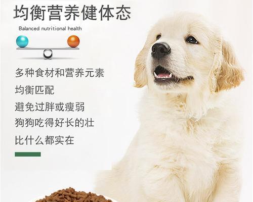 泰迪幼犬粮品牌推荐 选择健康营养的狗粮(图1)