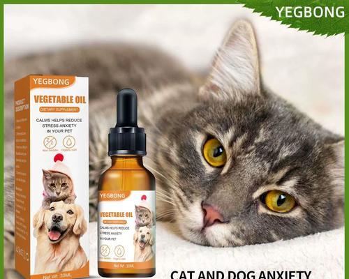 如何提升猫咪体质 健康饮食全指南(图3)