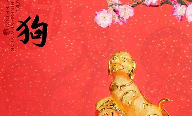 根据狗狗出生时间选择最适合的伴侣(图3)