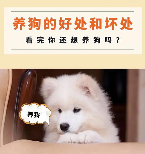 Dog Eat Apple Benefits and Risks(图3)