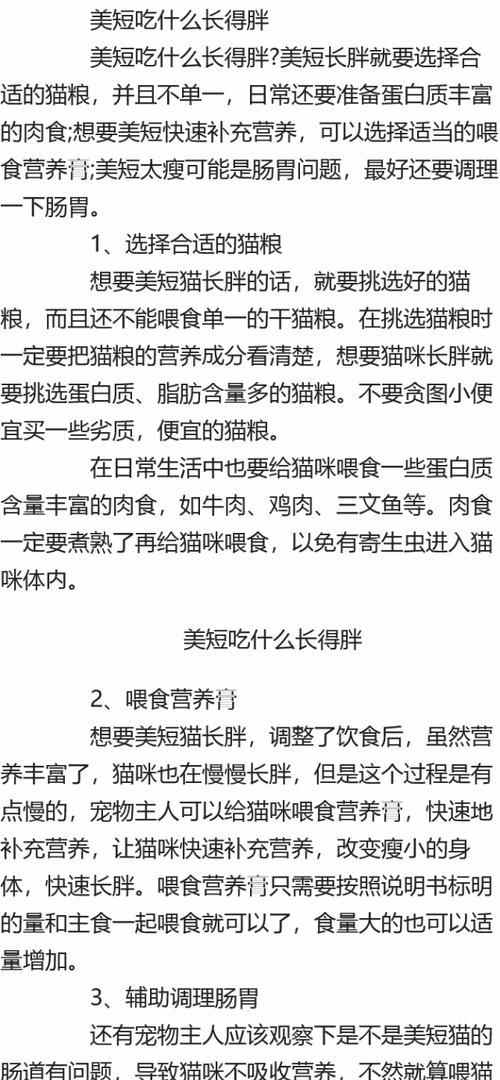 美国短毛猫禁食清单 保护猫咪健康饮食(图2)