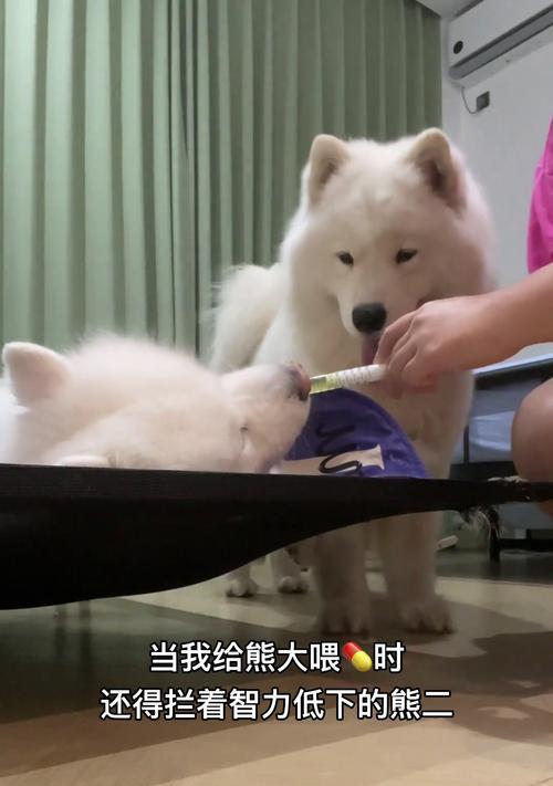 宝宝三个月辅食推荐及注意事项(图2)