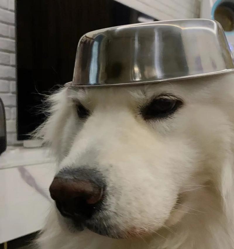 宝宝三个月辅食推荐及注意事项(图3)