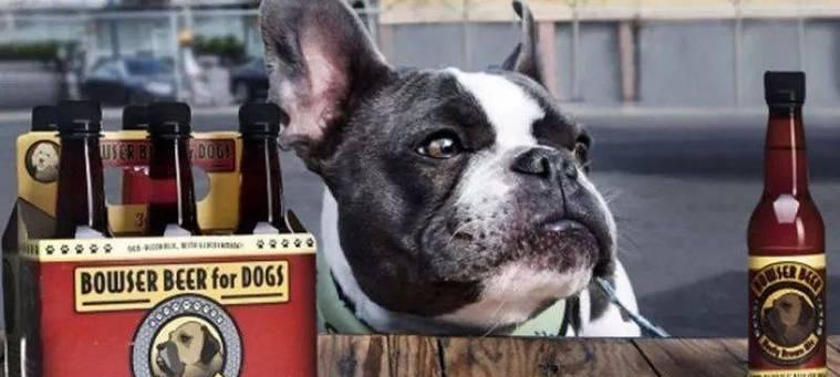 狗喝醉酒的严重危害与预防措施(图3)