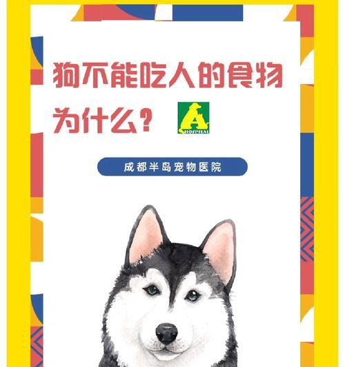 为什么狗狗应该吃犬粮？全面解析犬粮的重要性(图3)